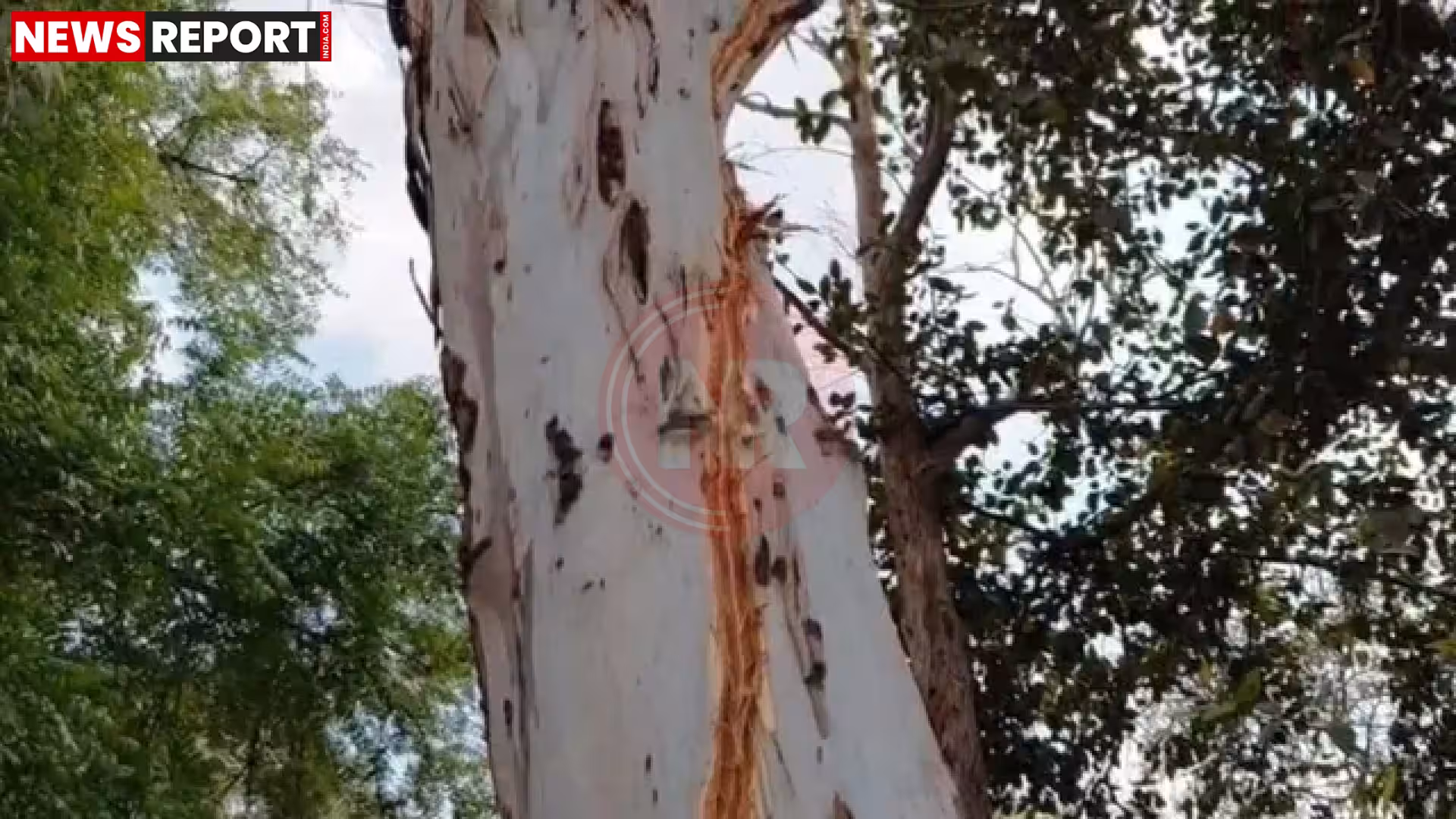 फरीदाबाद के स्कूल मैदान में गिरी आकाशीय बिजली की घटना का दृश्य