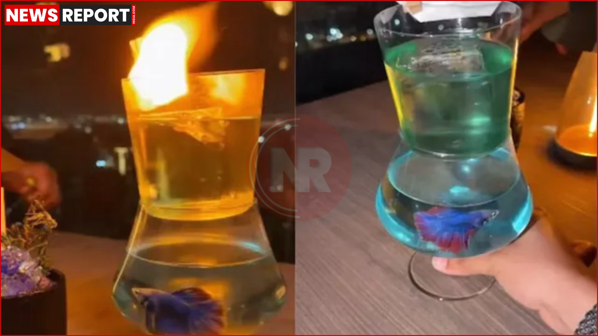 कॉकटेल ग्लास और संजय दत्त के रेस्तरां विवाद को दर्शाती प्रतीकात्मक तस्वीर