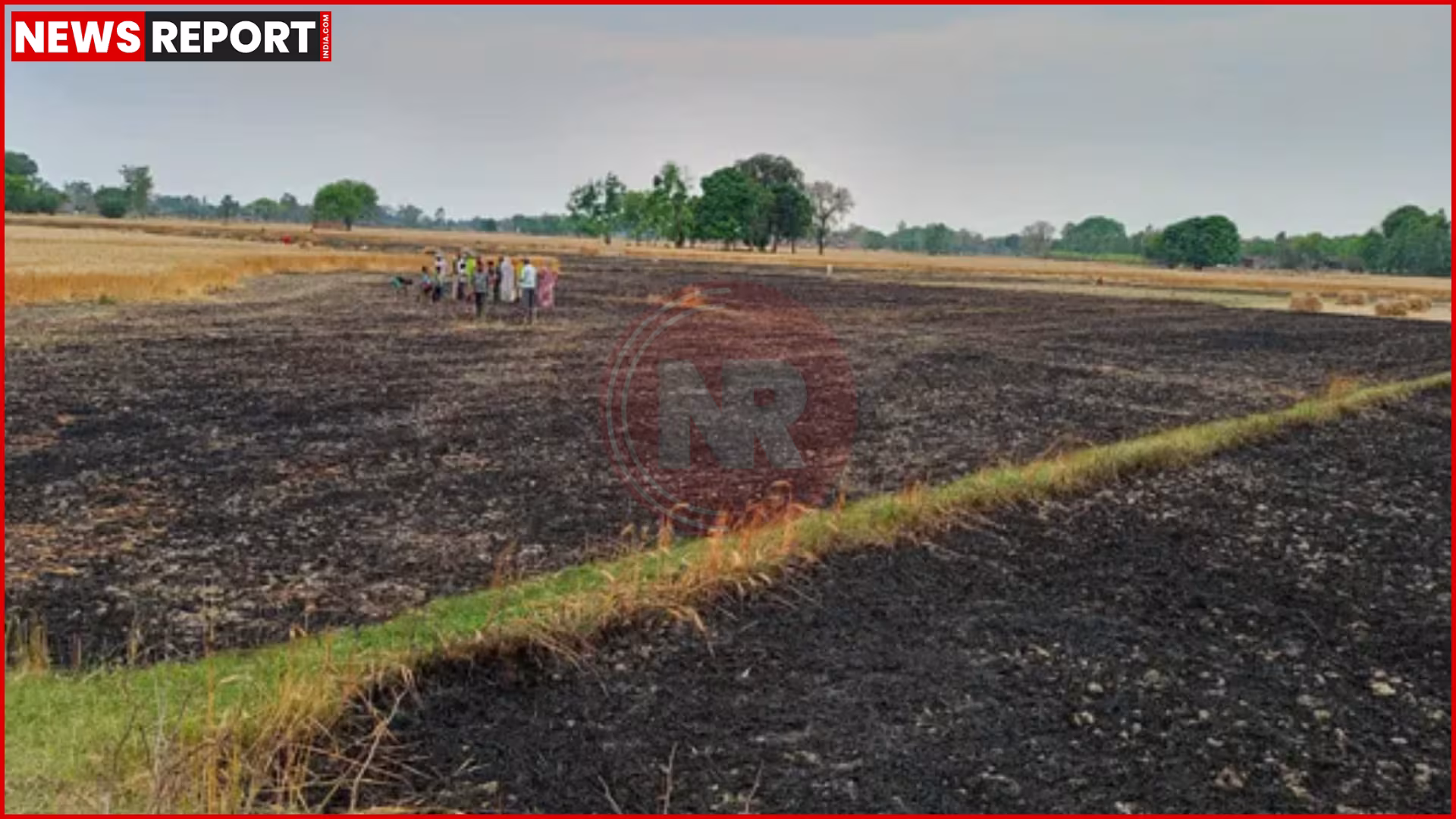 कौशांबी के खेतों में हाईटेंशन तार गिरने से लगी आग का दृश्य