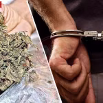 पुलिस द्वारा बरामद गांजे के ढेर और गिरफ्तार किए गए तस्करों की तस्वीर