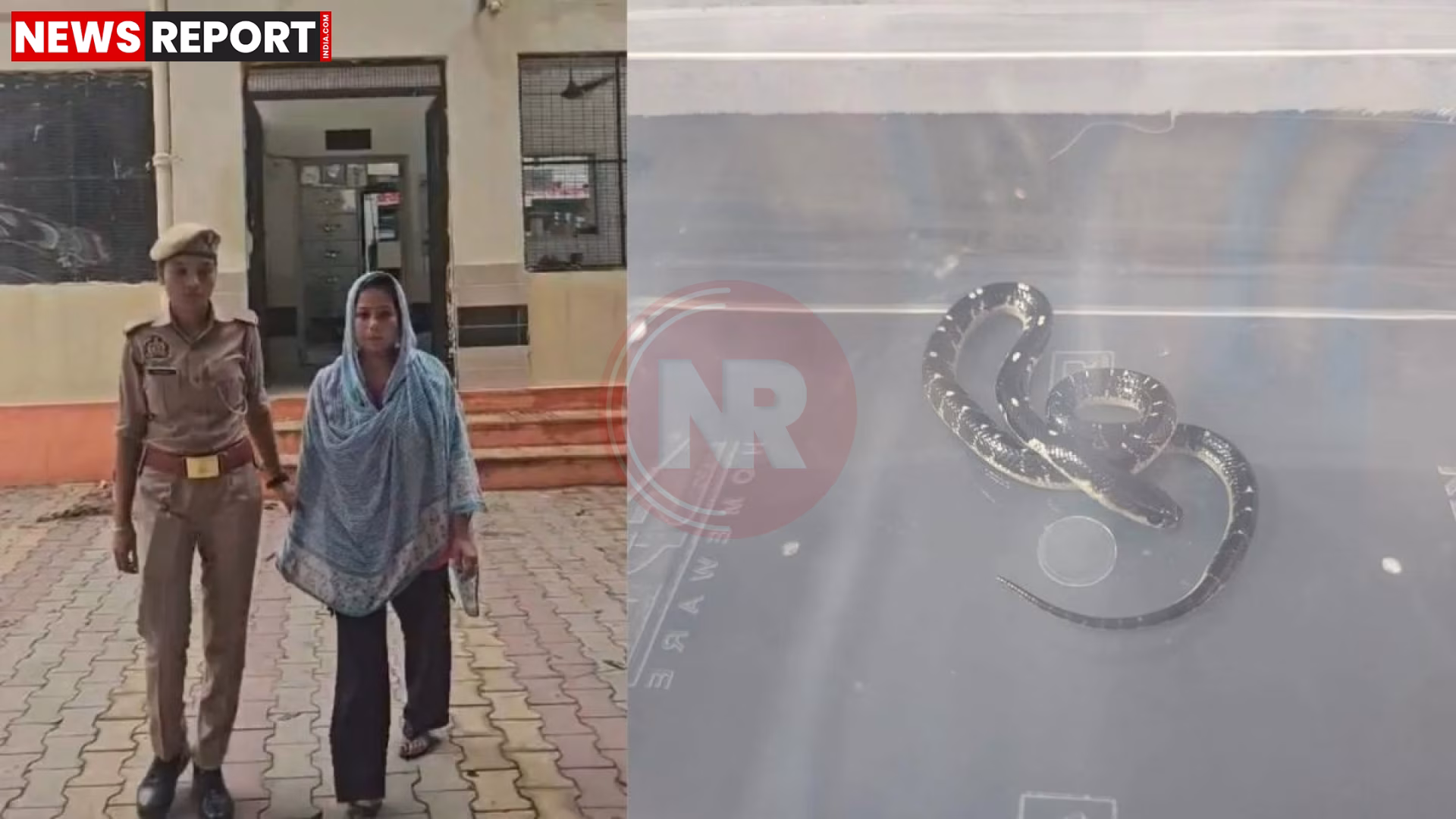 मेरठ में सांप से कटवाकर हत्या के मामले की पुलिस जांच और आरोपी