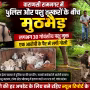 वाराणसी में पुलिस मुठभेड़ के बाद घायल पशु तस्कर और मुक्त कराए गए गोवंशीय पशु।
