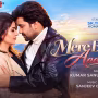 कुमार सानू, एस के तिवारी और कोमल सोनी 'मेरे बिना तू आधी सी' गाने के पोस्टर में