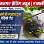 रामनगर के पंपासर पोखरे में जंजीरें तोड़कर उतरा हाथी धनराज