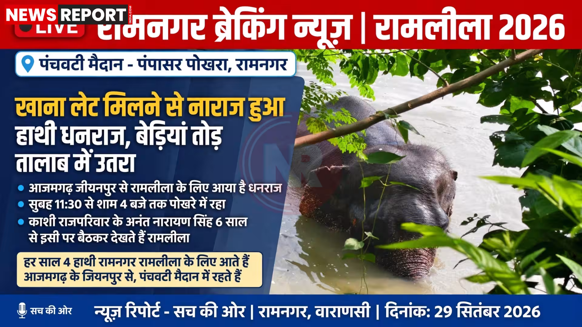 रामनगर के पंपासर पोखरे में जंजीरें तोड़कर उतरा हाथी धनराज