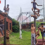 मलखंभ पर प्रदर्शन करते खिलाड़ी