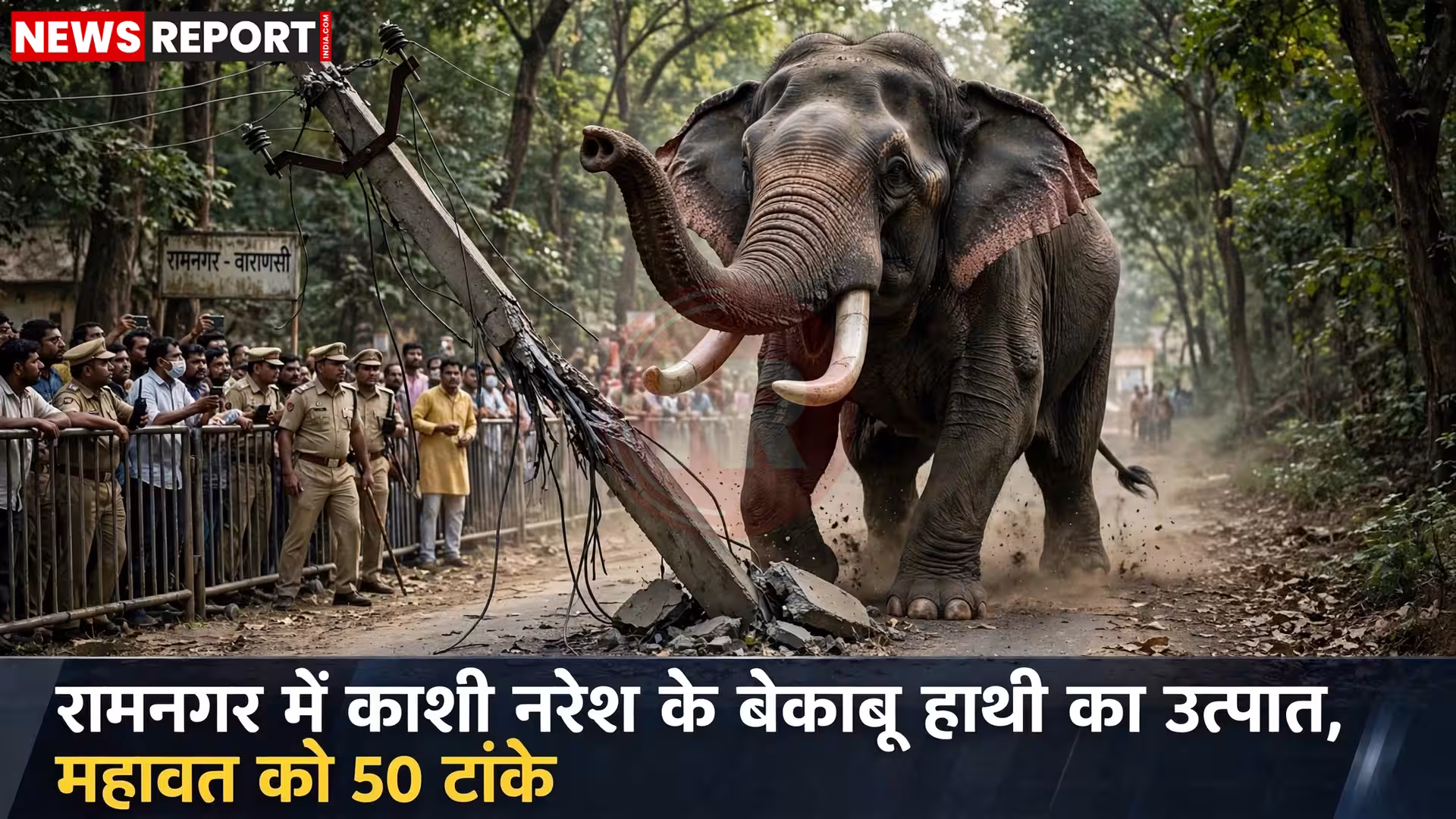 बेकाबू हाथी द्वारा महावत को हमला करते हुए और उसे जमीन पर पटकते हुए